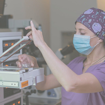 Slider image (3) PROFERT Santo Domingo